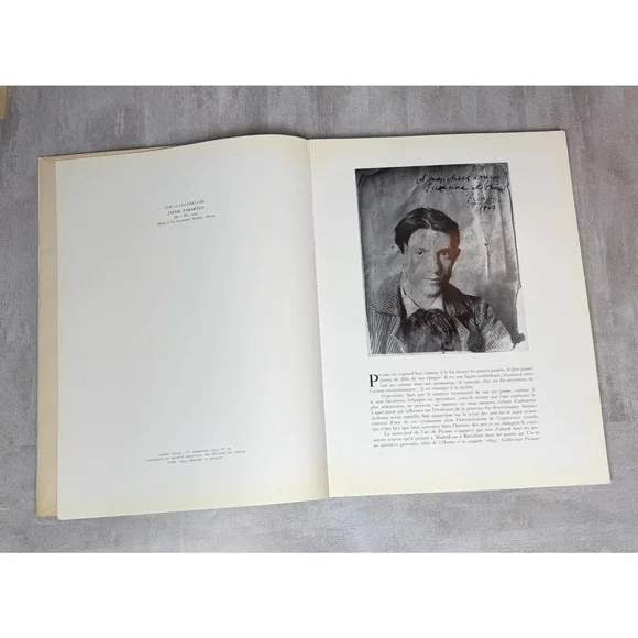 Vintage Picasso Peintures Époques Bleue Et Rose 1947 Ziai Art Softcover French